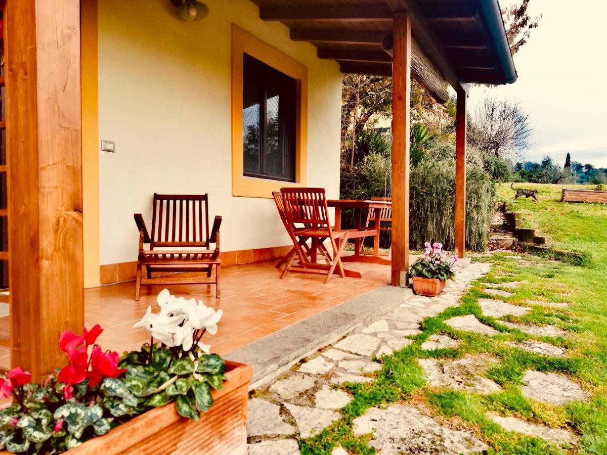 בית הארחה Poggio Mirteto 	La Casa Nettarina מראה חיצוני תמונה