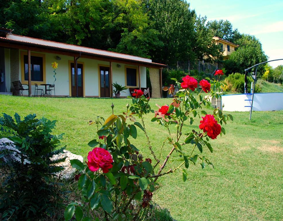 בית הארחה Poggio Mirteto 	La Casa Nettarina מראה חיצוני תמונה